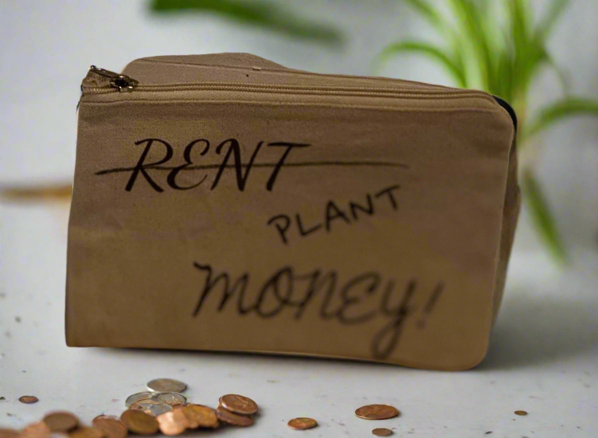 money bag plant Money Bag “Plant Money” – Veeren Hill AA Creations and carpentry
